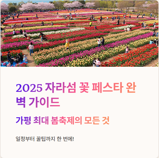 2025 자라섬 꽃 페스타 일정,입장료,주차 총정리!! 1